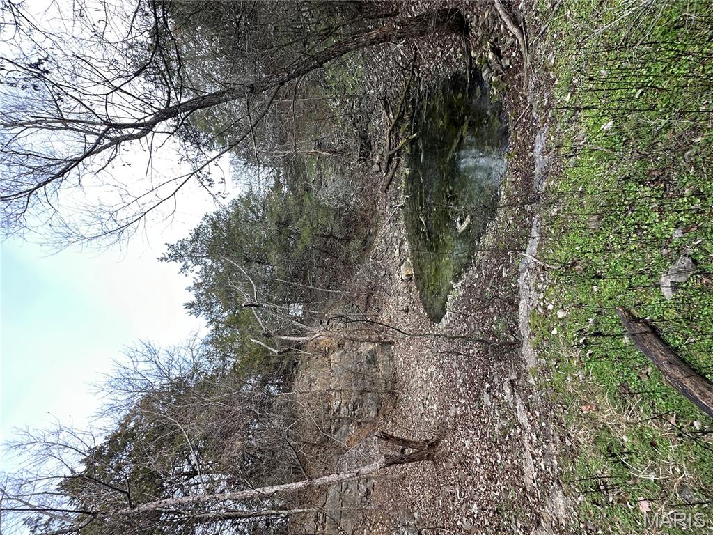 6546 Highway 115 Property Photo 70