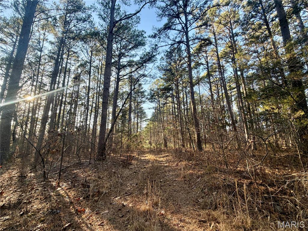 0 County Road 6575 Property Photo 1