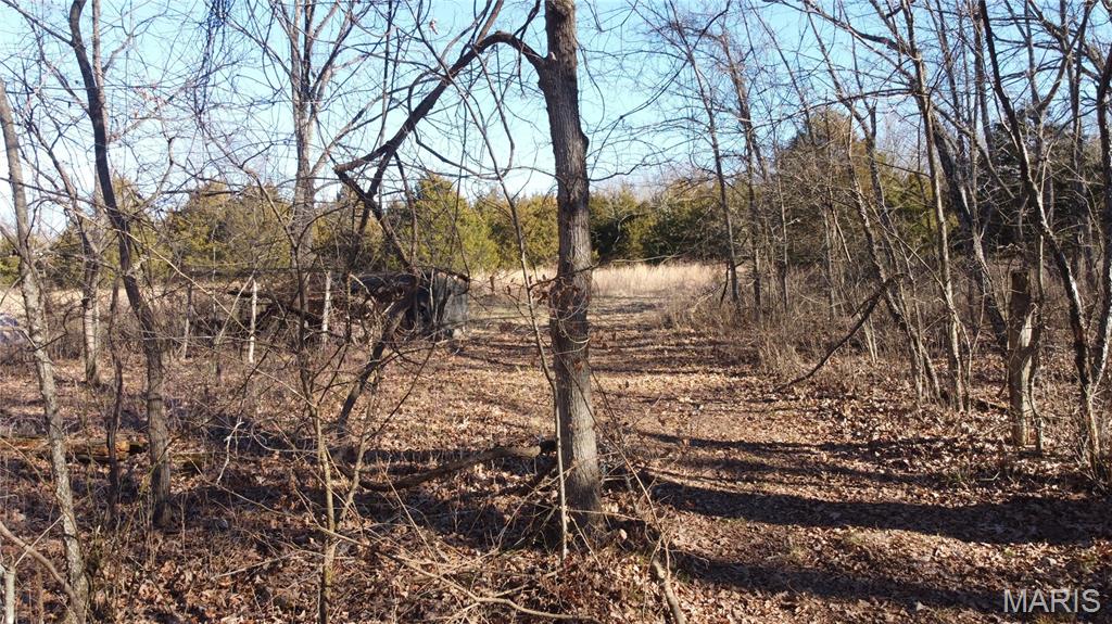 10827 Scout Camp Road Property Photo 2