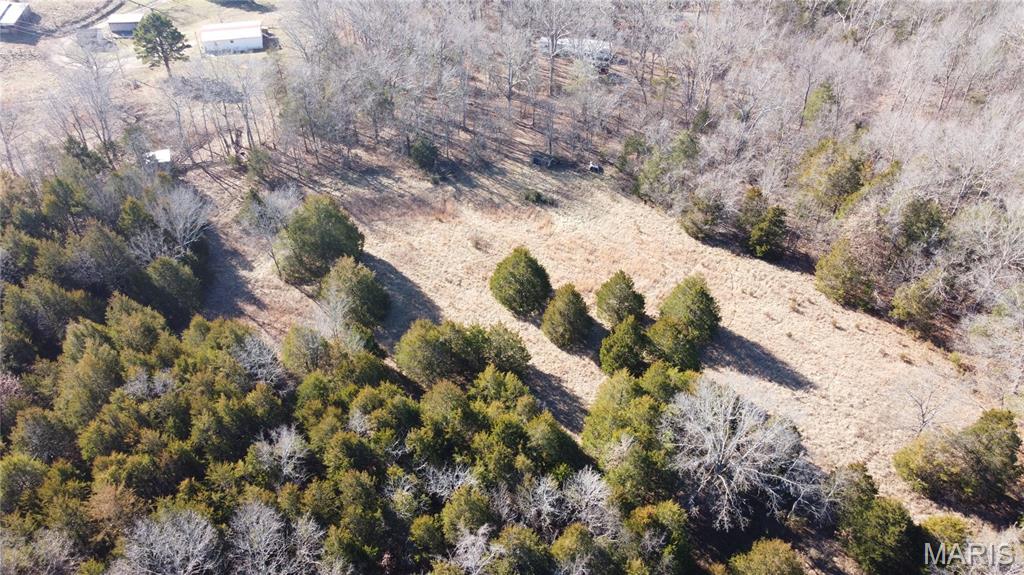 10827 Scout Camp Road Property Photo 3