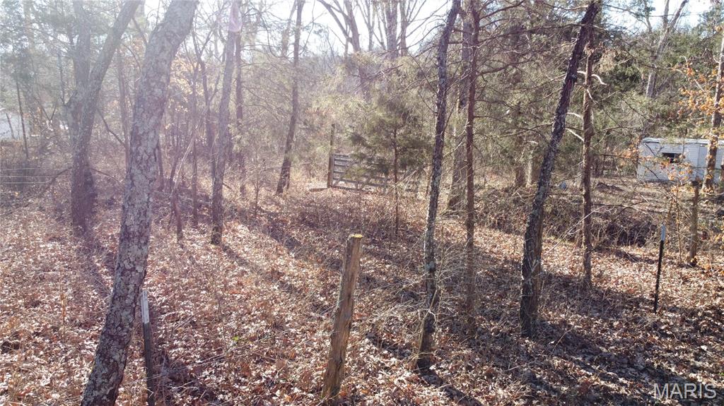 10827 Scout Camp Road Property Photo 4