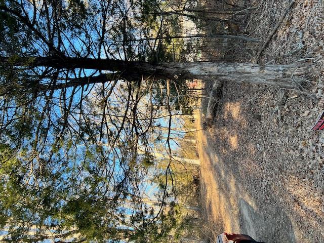 10827 Scout Camp Road Property Photo 7