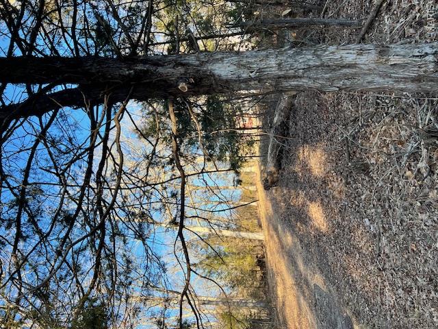 10827 Scout Camp Road Property Photo 9