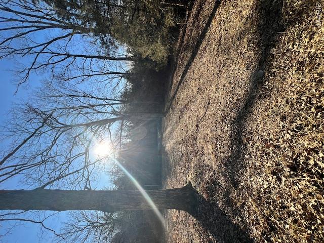 10827 Scout Camp Road Property Photo 16