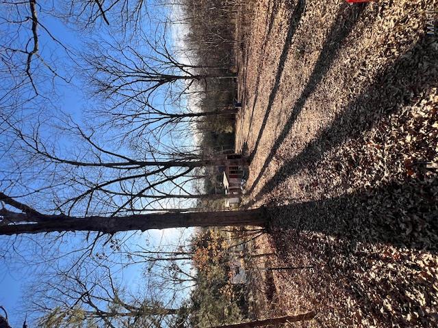 10827 Scout Camp Road Property Photo 17