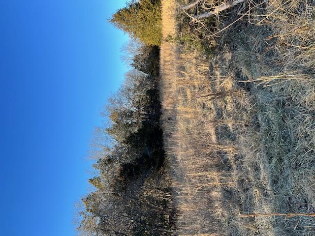 10827 Scout Camp Road Property Photo 23