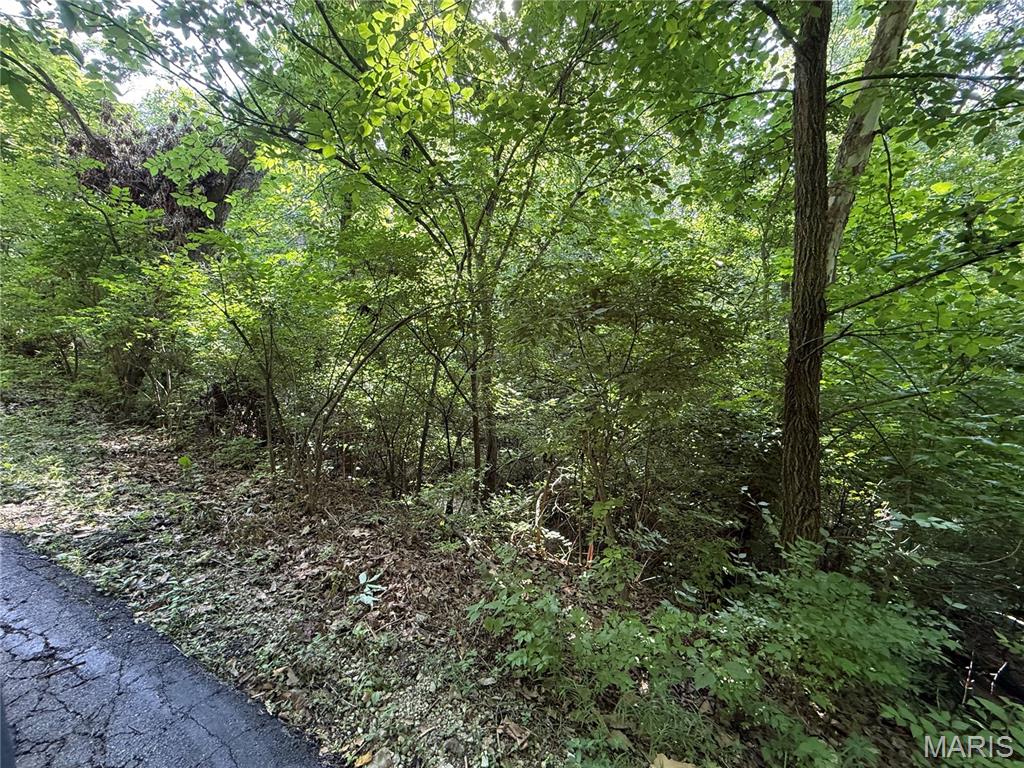168 Cherokee Court Property Photo 13