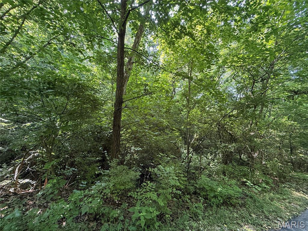 168 Cherokee Court Property Photo 14