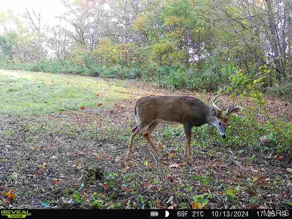 498 Panama Ave Property Photo 62