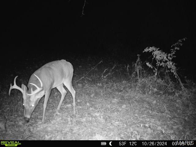 498 Panama Ave Property Photo 64