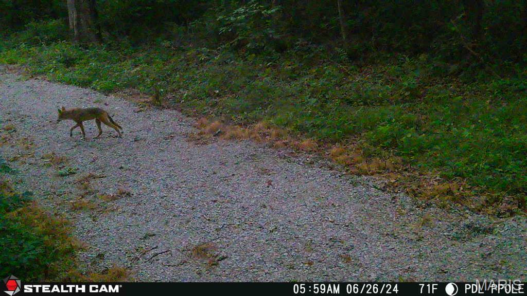 498 Panama Ave Property Photo 68