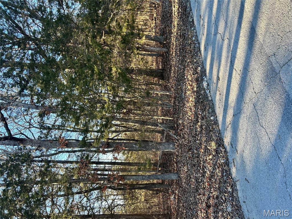 0 Land B Deer Run Property Photo 3