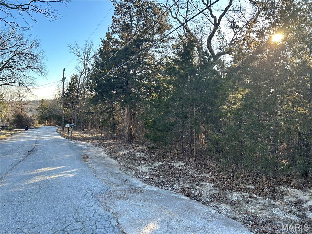0 Land B Deer Run Property Photo 5