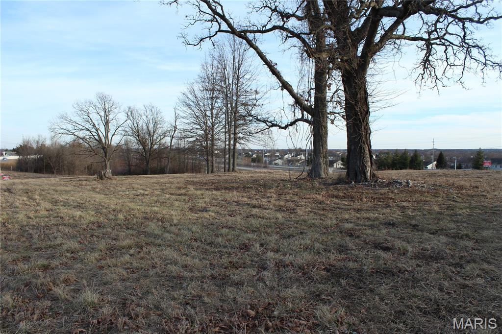 6998 Highway N Property Photo 2