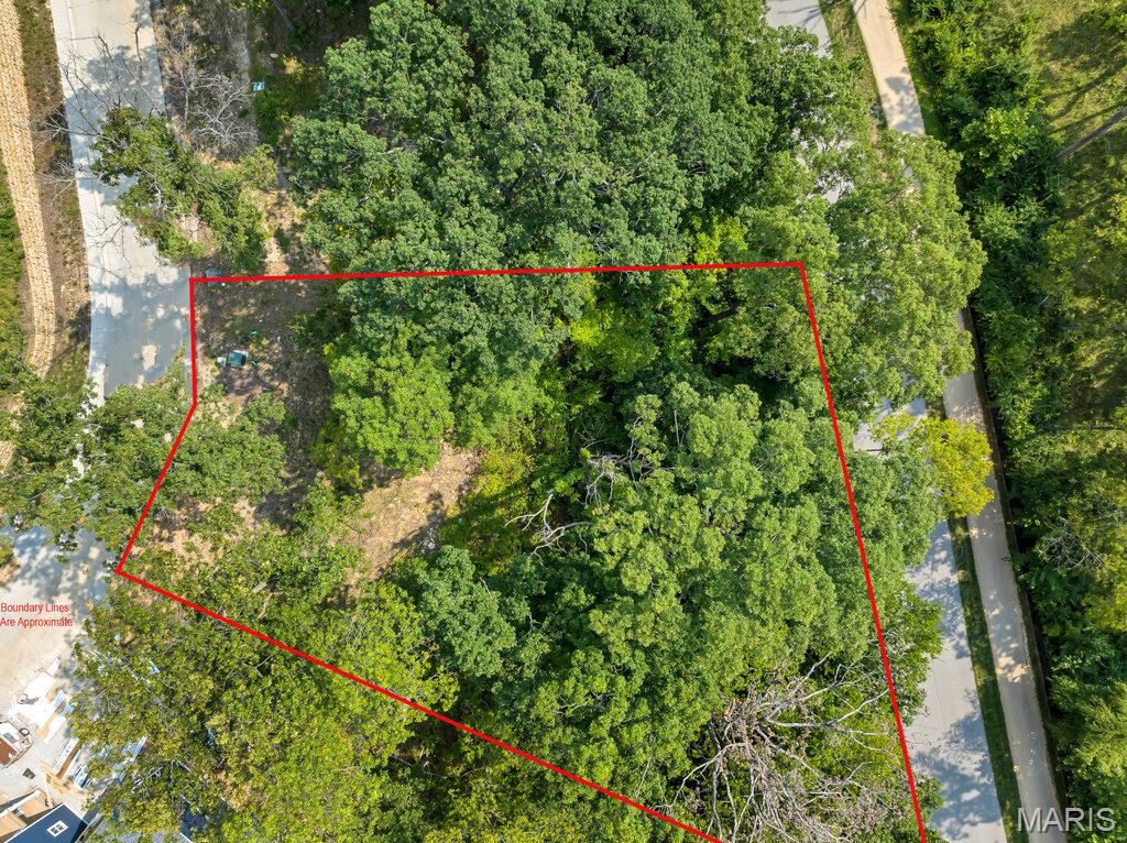 204 Ella Rose Lane Property Photo 3