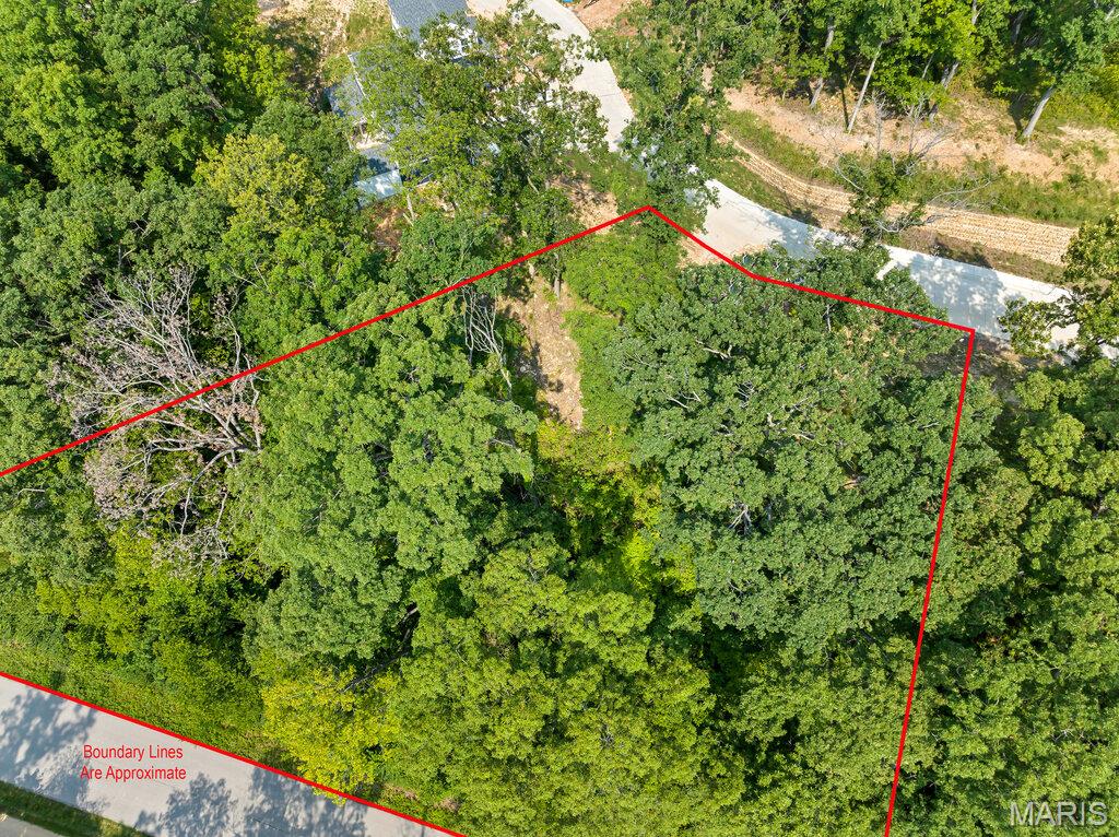204 Ella Rose Lane Property Photo 5