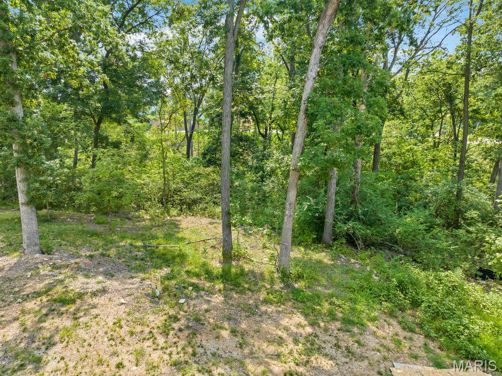 204 Ella Rose Lane Property Photo 9