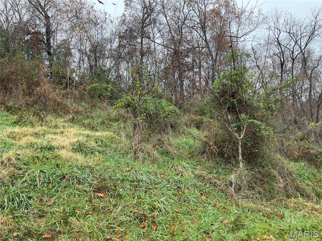 410 Orchard St. Property Photo 2