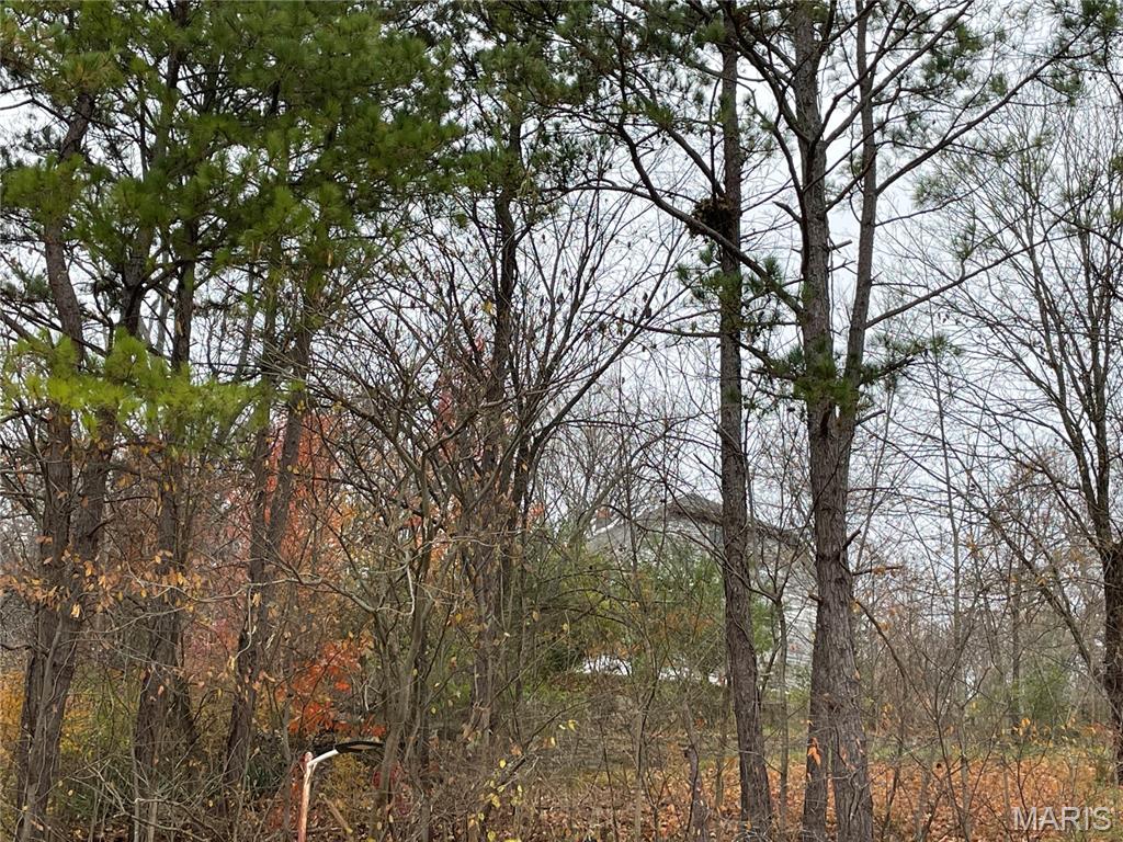 410 Orchard St. Property Photo 3