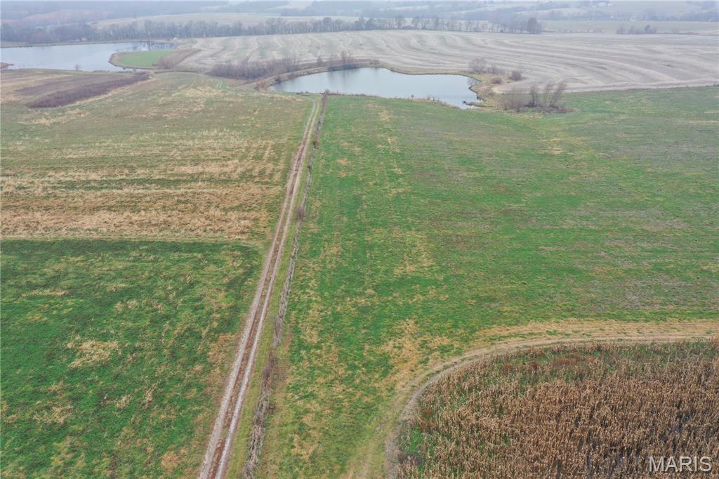 17053 Siloam Avenue Property Photo 12