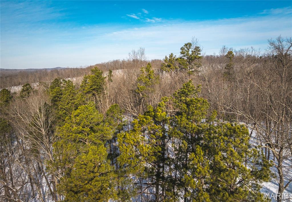 000 Highway 49 Property Photo 9