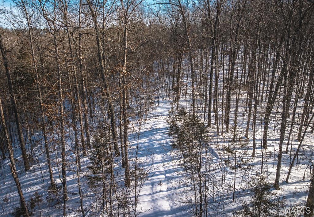 000 Highway 49 Property Photo 19