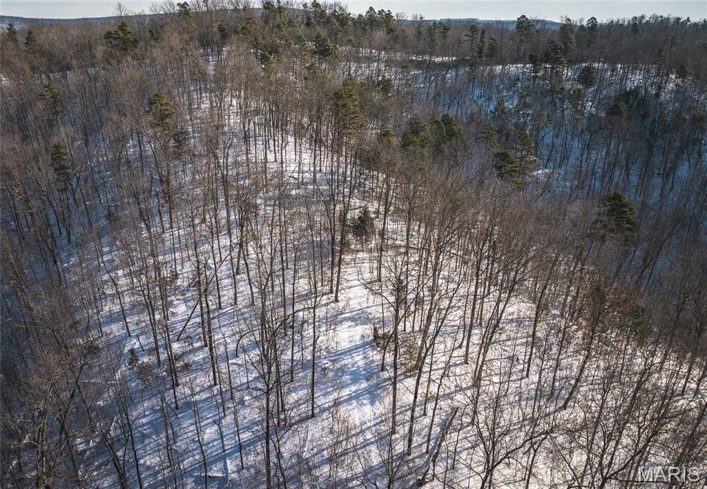 000 Highway 49 Property Photo 20
