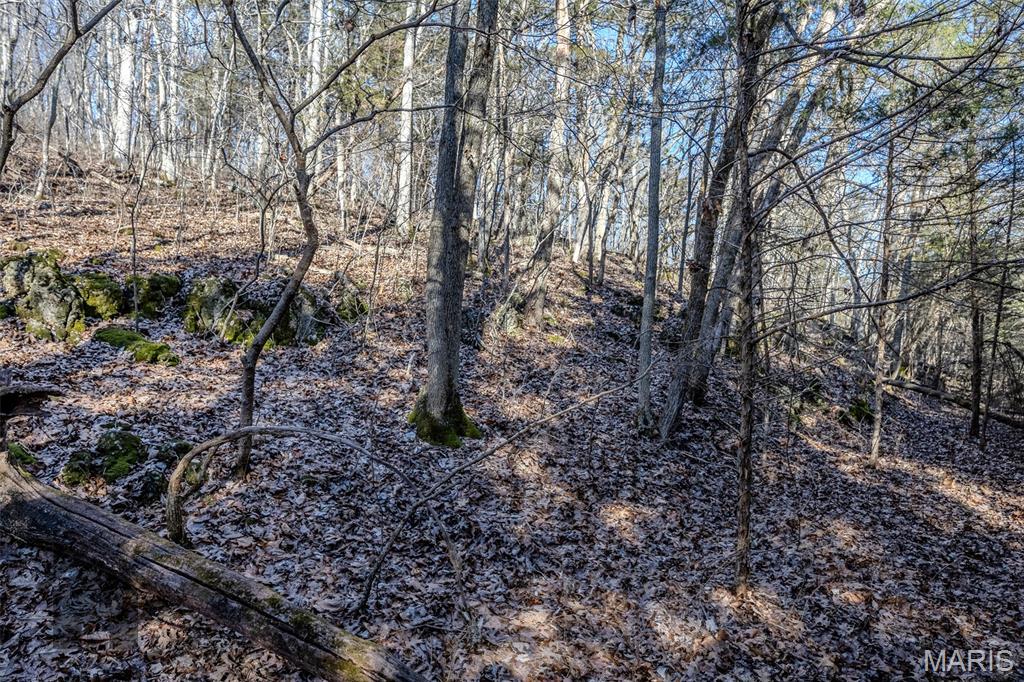 Tbd Tbd - Possibly Compass Road Property Photo 4