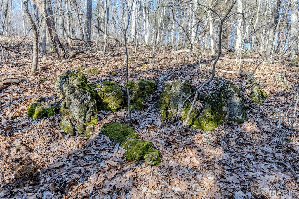 Tbd Tbd - Possibly Compass Road Property Photo 10