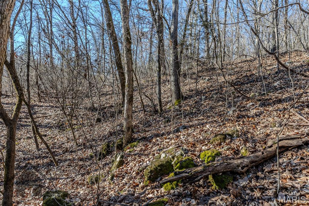 Tbd Tbd - Possibly Compass Road Property Photo 11