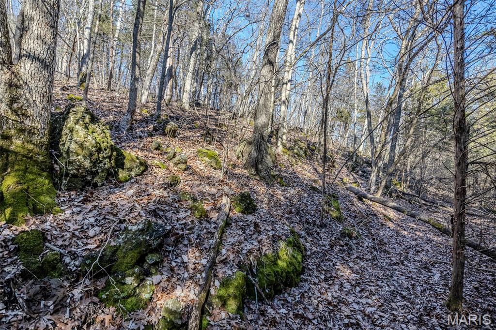 Tbd Tbd - Possibly Compass Road Property Photo 12