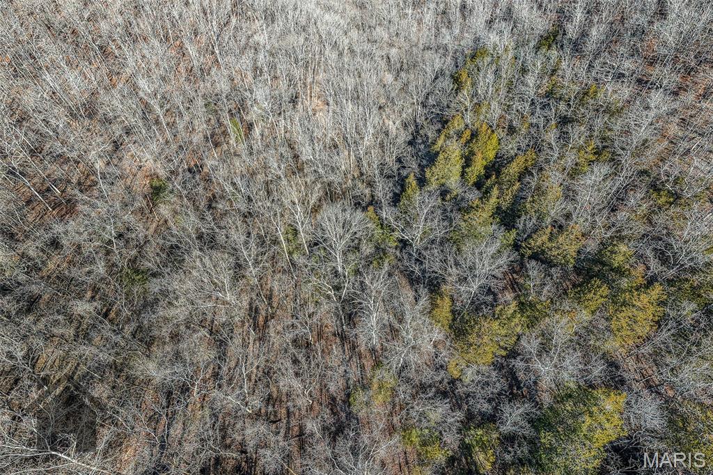 Tbd Tbd - Possibly Compass Road Property Photo 25