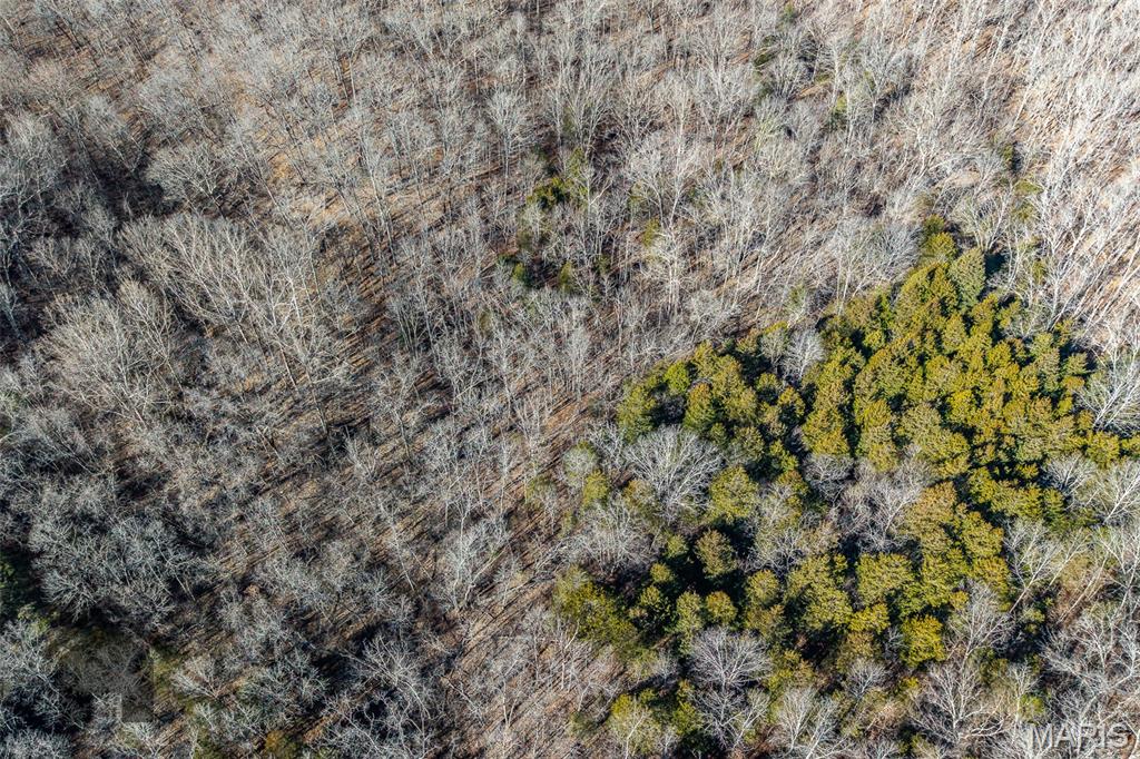 Tbd Tbd - Possibly Compass Road Property Photo 31