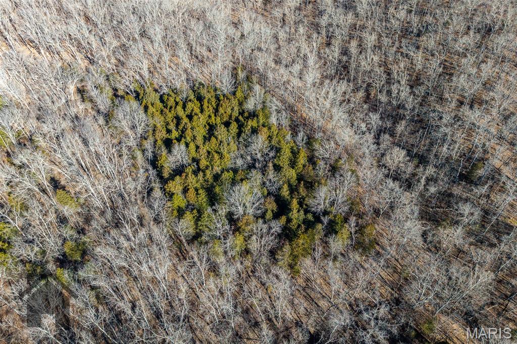Tbd Tbd - Possibly Compass Road Property Photo 32