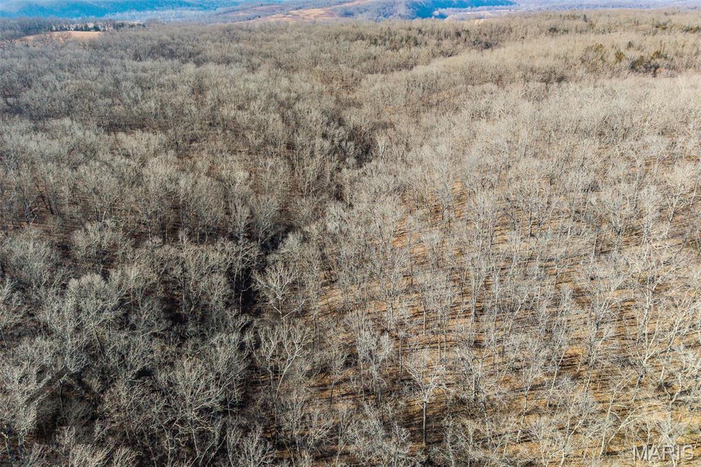Tbd Tbd - Possibly Compass Road Property Photo 33