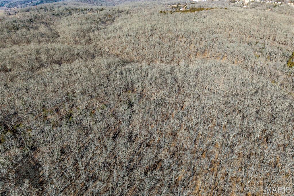 Tbd Tbd - Possibly Compass Road Property Photo 42
