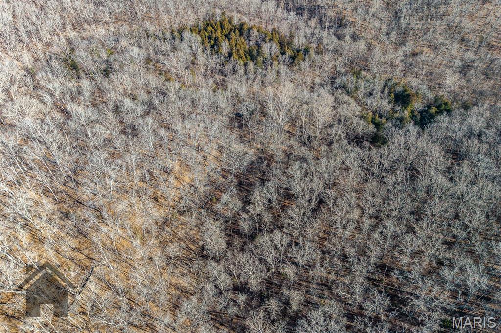 Tbd Tbd - Possibly Compass Road Property Photo 44