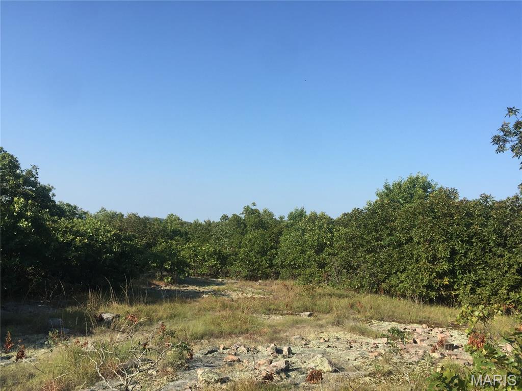 221 Hwy Vance Rd, Old Middlebrook Rd, 221 Hwy Property Photo 5