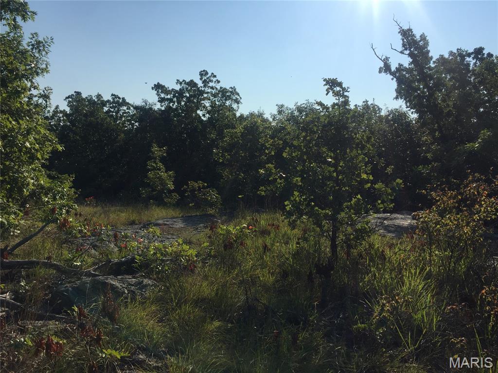 221 Hwy Vance Rd, Old Middlebrook Rd, 221 Hwy Property Photo 6