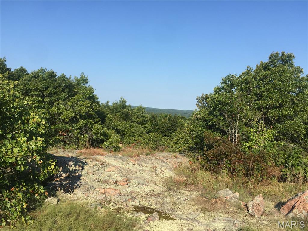 221 Hwy Vance Rd, Old Middlebrook Rd, 221 Hwy Property Photo 7
