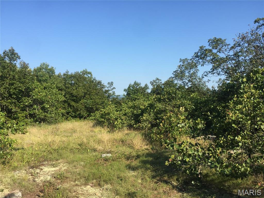 221 Hwy Vance Rd, Old Middlebrook Rd, 221 Hwy Property Photo 9