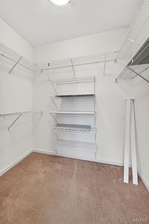 112 Wake Forest Place Property Photo 28