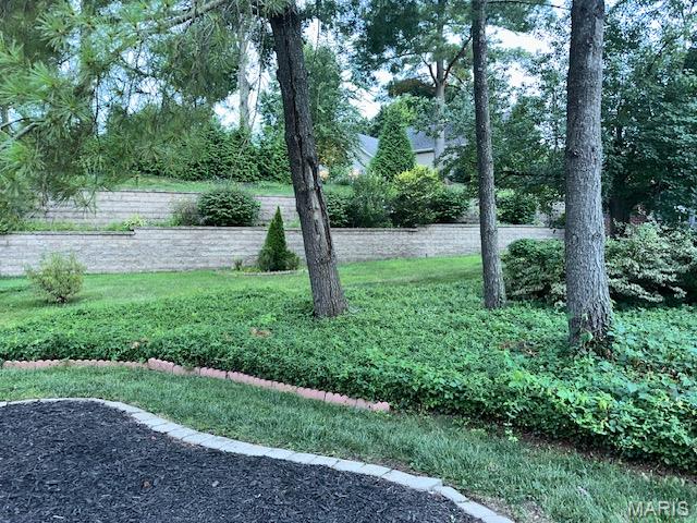 14292 Cedar Springs Drive Property Photo 28