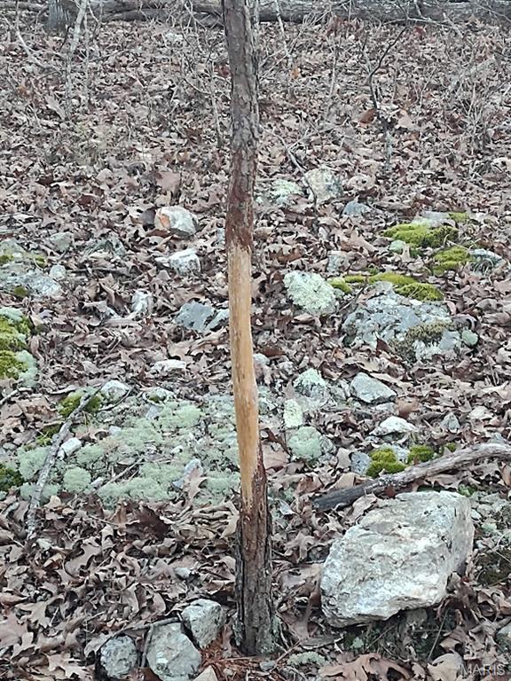 000 Moonshine Pass Property Photo 1