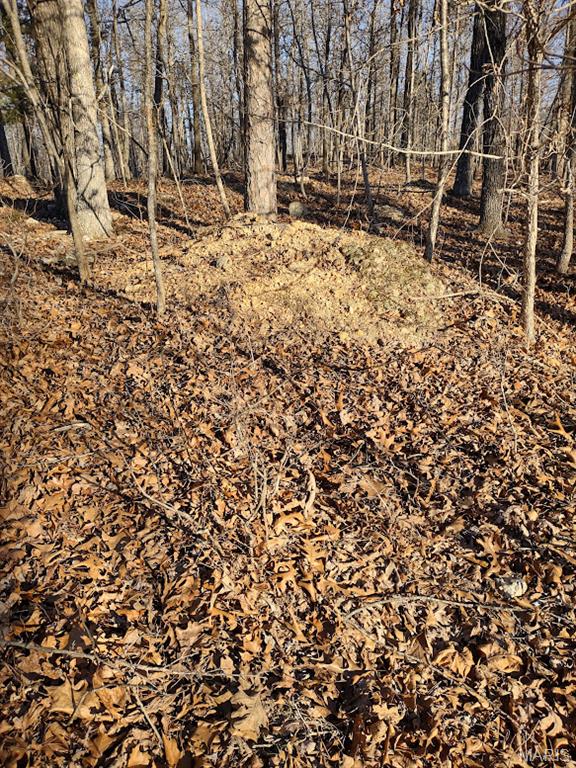 000 Moonshine Pass Property Photo 3