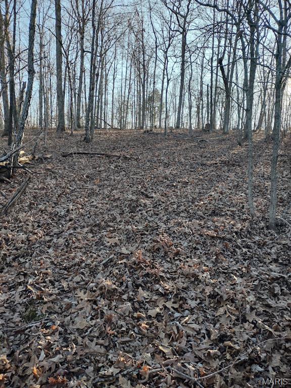 000 Moonshine Pass Property Photo 4