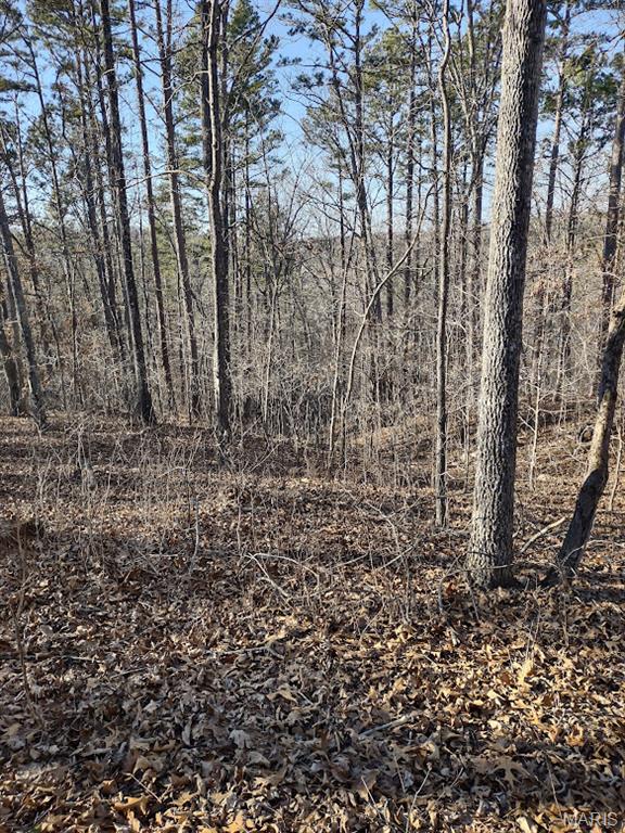 000 Moonshine Pass Property Photo 5
