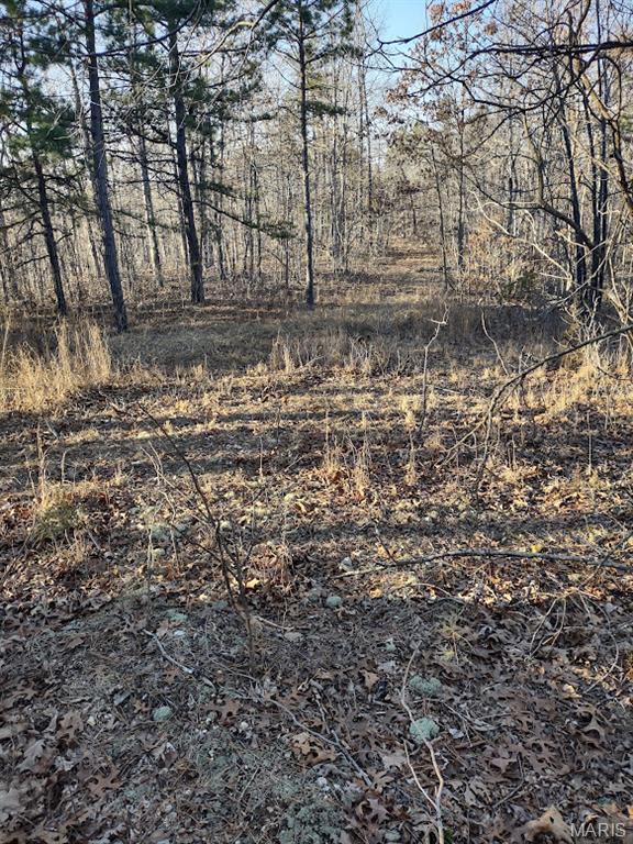 000 Moonshine Pass Property Photo 6