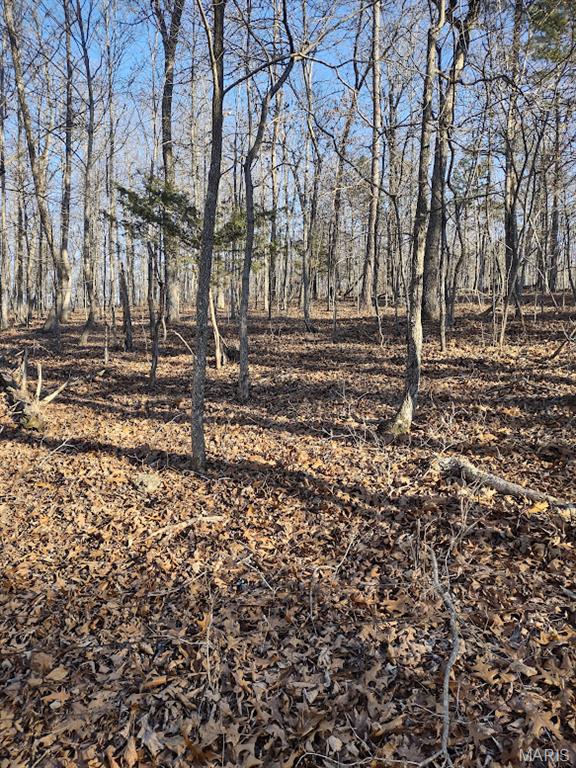 000 Moonshine Pass Property Photo 10