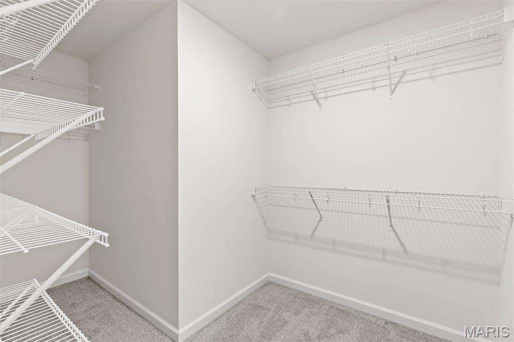 37 Fairmount Grove Drive Property Photo 8